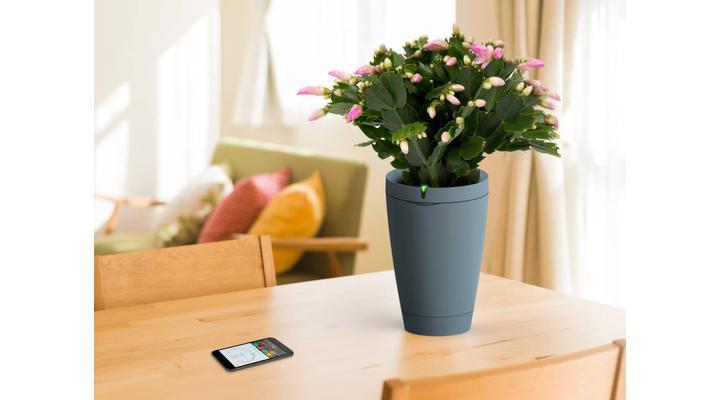 Parrot POT: Így működik az okos virágcserép
